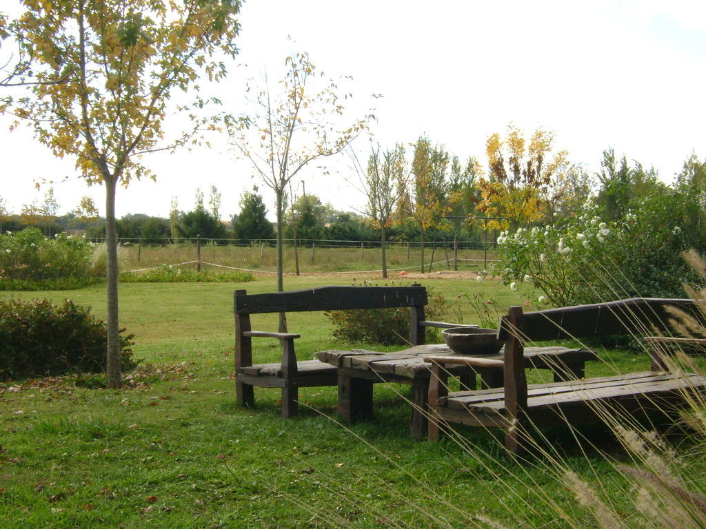 El Ranchito De Areco Willa San Antonio de Areco Zewnętrze zdjęcie