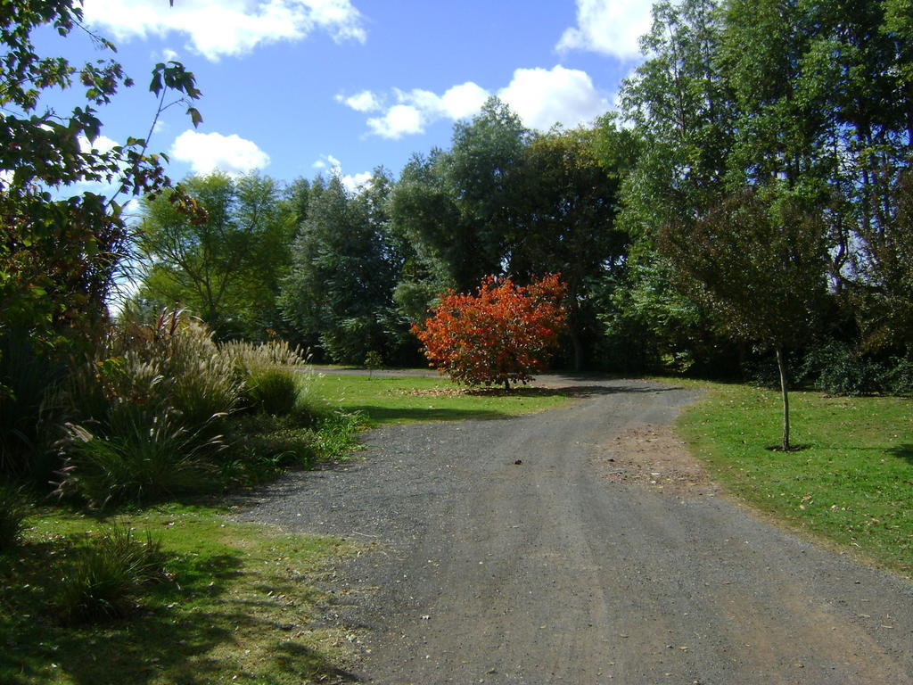 El Ranchito De Areco Willa San Antonio de Areco Zewnętrze zdjęcie