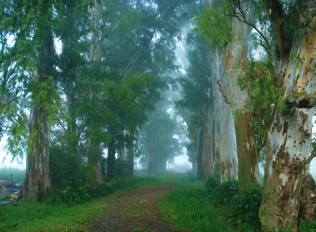 El Ranchito De Areco Willa San Antonio de Areco Zewnętrze zdjęcie